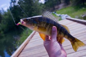 Fishing Spots in Maryland