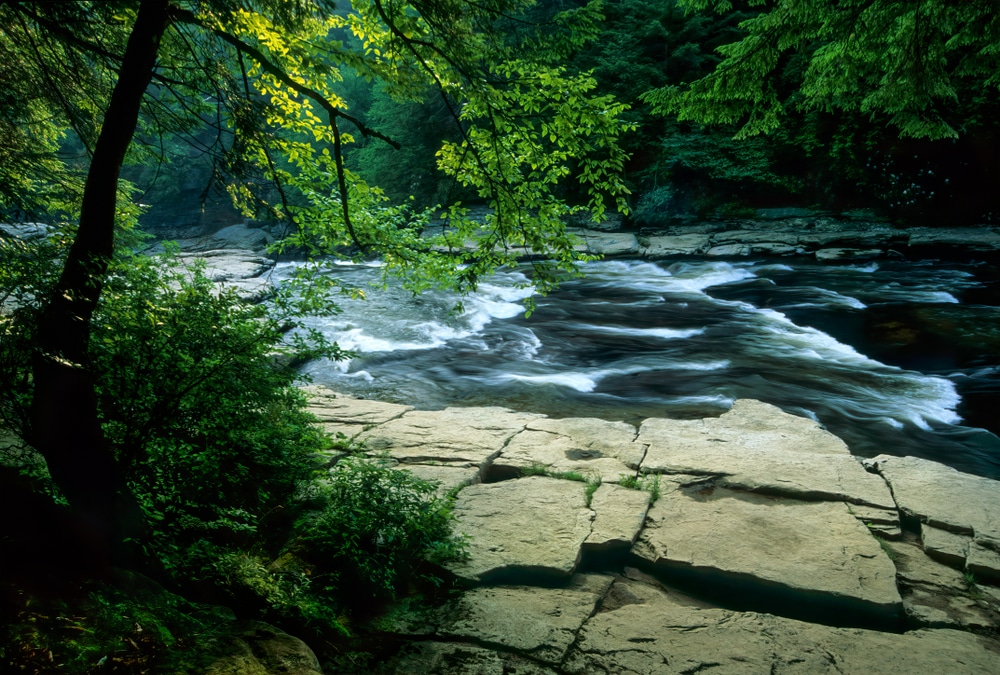 Rapids on the Youghioghney River is some of the best white water rafting in Maryland.