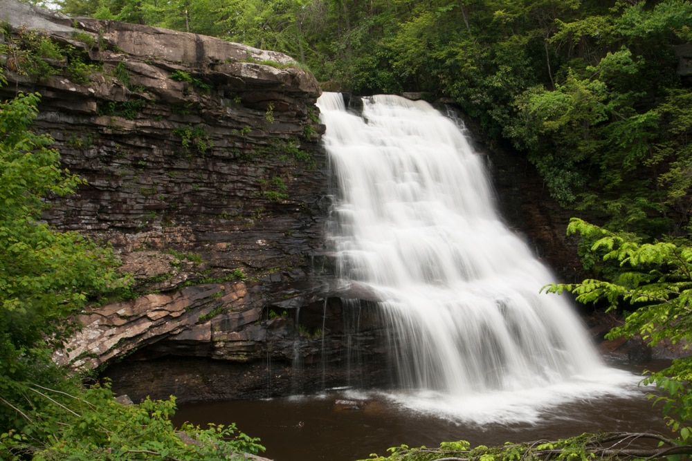 Swallow Falls State Park