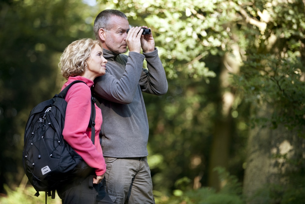 Birdwatching is a popular pastime at Deep Creek Lake State Park