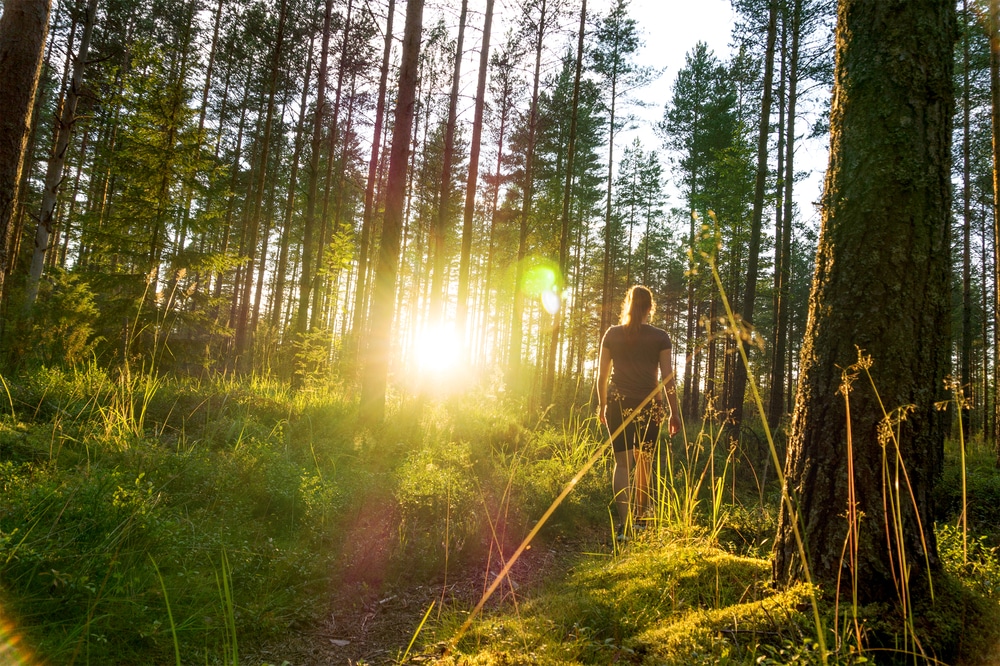 photo of a woman hiking at Deep Creek Lake State Park this summer