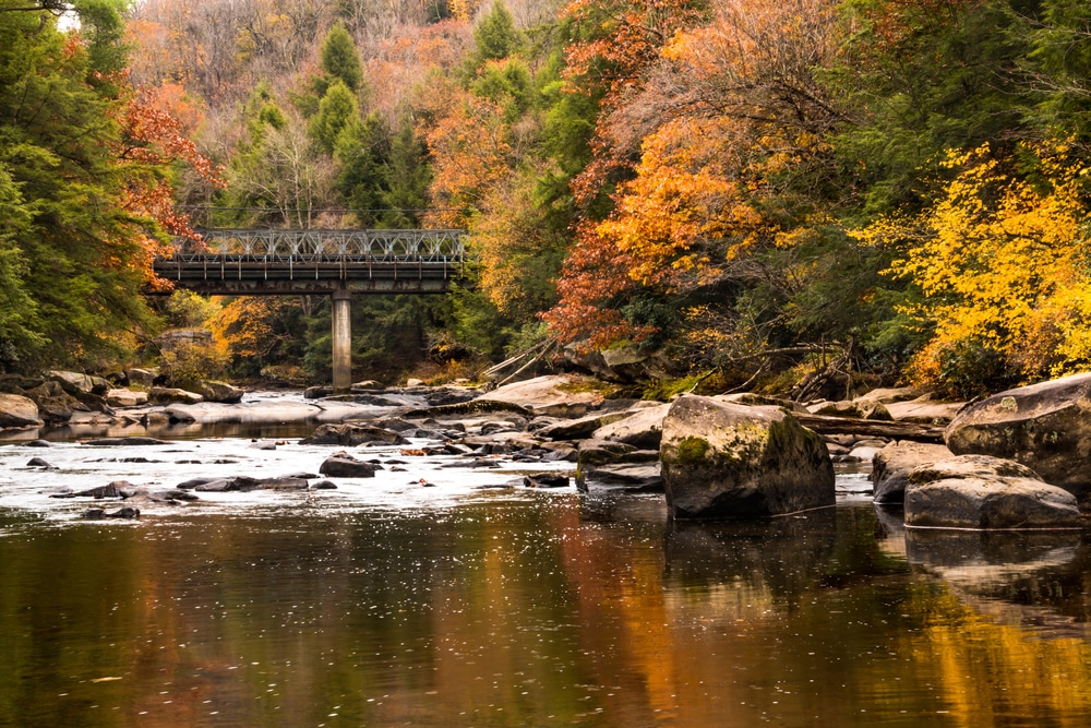 taking scenic Train Rides in Maryland is such a lovely addition to any romantic getaway at our deep creek lake hotel