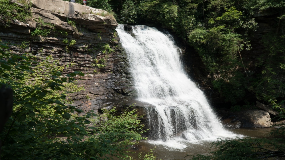 Hike the Swallow Falls canyon Trail / More Swallow Falls State Park Trails