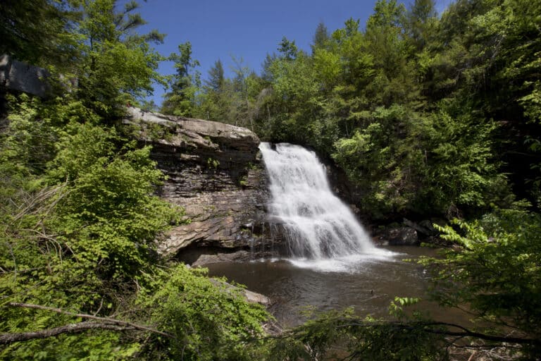 Muddy Creek Falls during summer on a clear day, surrounded by evergreen trees.