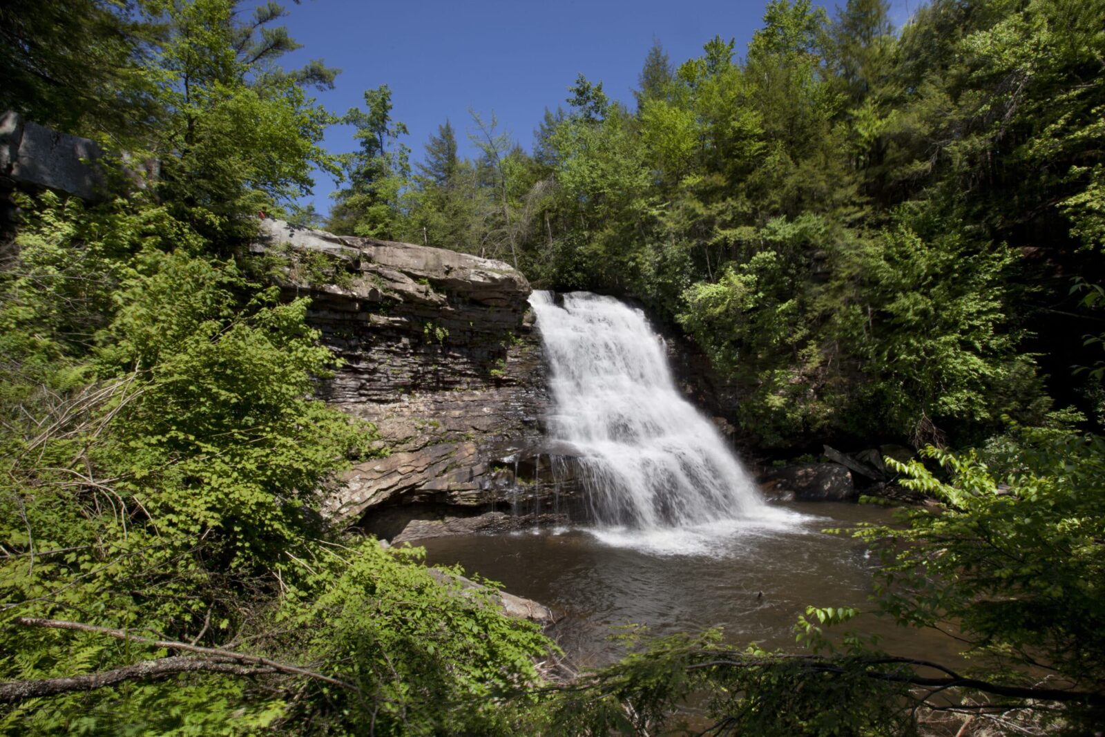Muddy Creek Falls during summer on a clear day, surrounded by evergreen trees.